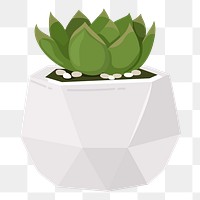 Succulent png sticker, cute illustration, transparent background