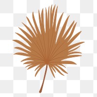 Fan palm leaf png sticker, cute illustration, transparent background