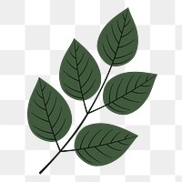 Leaf png sticker, cute illustration, transparent background