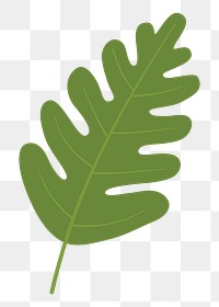 Leaf png sticker, cute illustration, transparent background