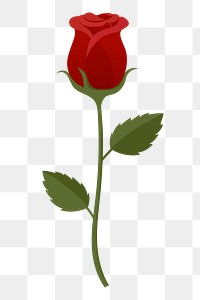 Red rose png sticker, cute illustration, transparent background