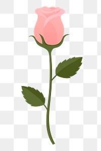 Pink rose png sticker, cute illustration, transparent background