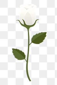 White rose png sticker, cute illustration, transparent background