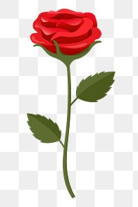 Red rose png sticker, cute illustration, transparent background