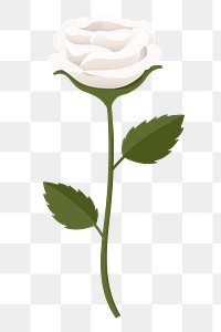 White rose png sticker, cute illustration, transparent background