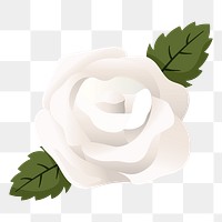 White rose png sticker, cute illustration, transparent background