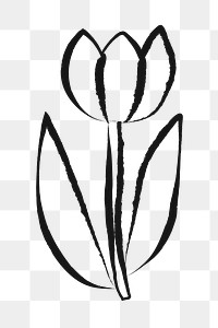 Tulip flower png sticker, doodle, transparent background