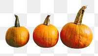 Pumpkins png sticker, transparent background