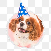 Dog birthday png sticker, cute pet photo in ripped paper badge, transparent background