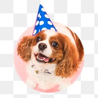 Dog birthday png sticker, cute pet photo badge, transparent background