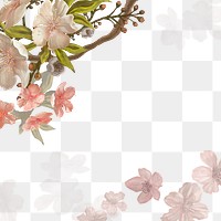 Cherry blossom png transparent background, flower border 