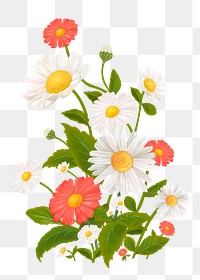 Daisy png flower sticker illustration, transparent background