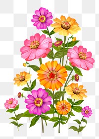 Zinnia png flower sticker illustration, transparent background