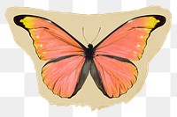 Orange butterfly png ripped paper sticker, aesthetic insect graphic, transparent background