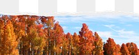 Autumn forest png border, torn paper design, transparent background