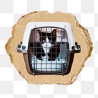 Caged kitten png sticker, ripped paper, transparent background