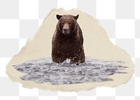 Grizzly bear png sticker, ripped paper, transparent background