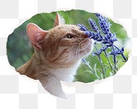 Cat png smelling Spring flower sticker, ripped paper speech bubble, transparent background