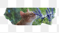 Cat png smelling Spring flower element, washi tape, transparent background