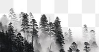 Misty forest png border sticker, nature on transparent background