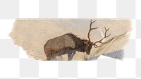 Elk wild animal, ripped washi tape, wildlife image
