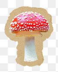 Poisonous mushroom png sticker, ripped paper, transparent background