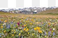 Nature landscape png border, transparent background