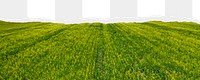 Green farmland png border, torn paper design, transparent background