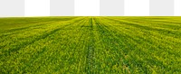 Green farmland png border, transparent background