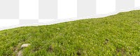 Green hill png border, torn paper design, transparent background