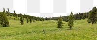 Forest meadow png border, transparent background