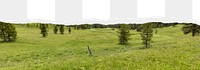 Forest meadow png border, torn paper design, transparent background