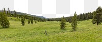 Forest meadow png border, transparent background