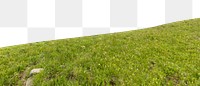 Green hill png border, transparent background