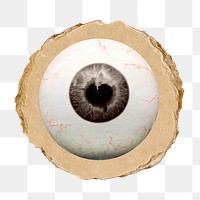 Human eyeball png sticker, ripped paper, transparent background