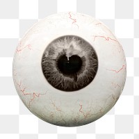 Human eyeball png sticker, transparent background