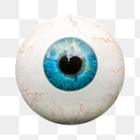 Human eyeball png sticker, transparent background