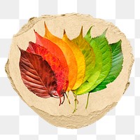 Autumn leaves png ripped paper sticker, seasonal aesthetic graphic, transparent background