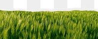 Grass meadow png border, torn paper design, transparent background