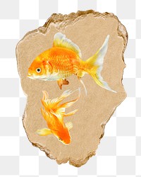 Goldfish png sticker, ripped paper, transparent background