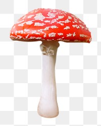 Poisonous mushroom png sticker, transparent background