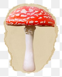 Poisonous mushroom png sticker, ripped paper, transparent background