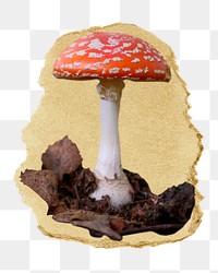 Poisonous mushroom png sticker, ripped paper, transparent background