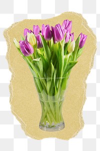 Tulip flower png vase sticker, ripped paper, transparent background