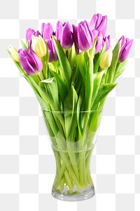 Tulip flower png vase sticker,  transparent background