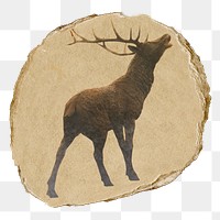 Stag, animal png sticker, ripped paper, transparent background