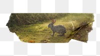 Spring rabbit png animal sticker, washi tape, transparent background