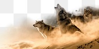 Howling wolf png border sticker, animal, transparent background