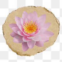 Pink lotus png flower sticker, ripped paper, transparent background