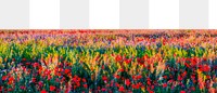 Colorful flower field png border, transparent background